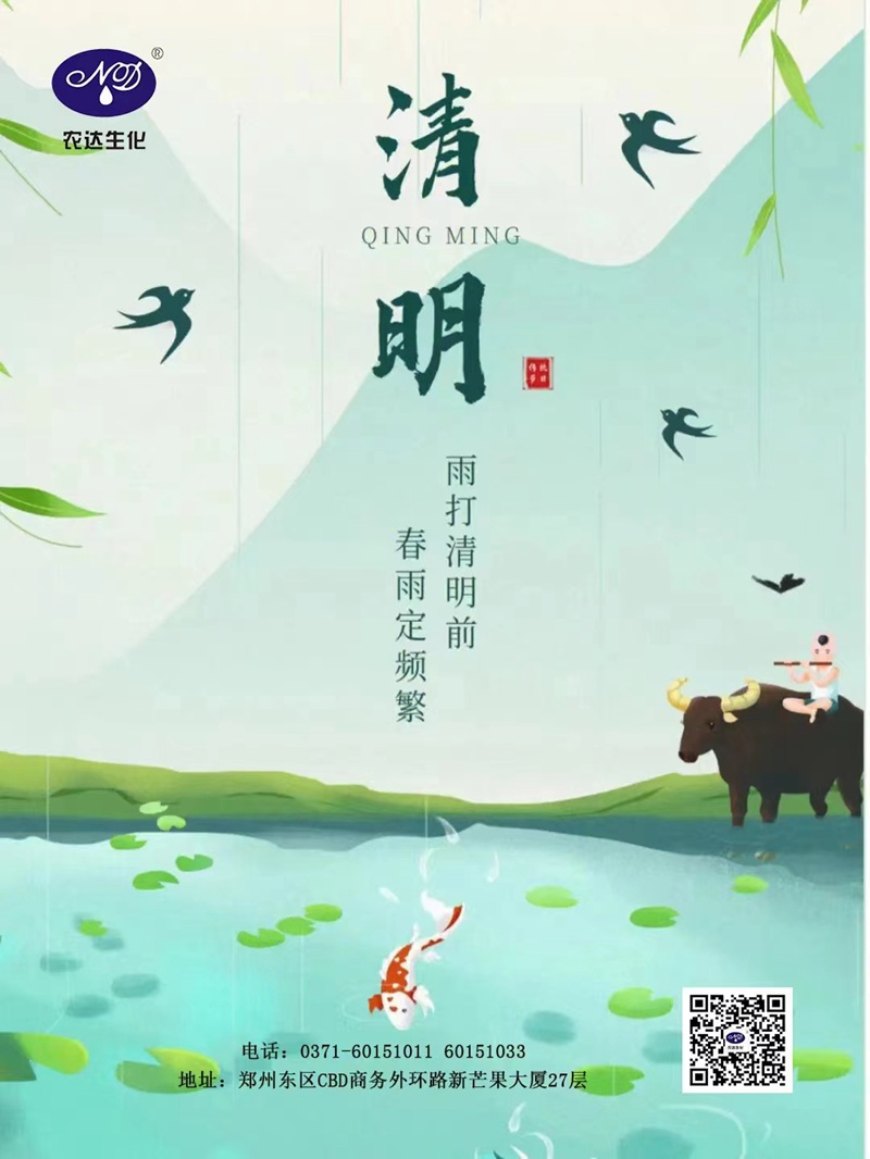 清明——懷念逝去，珍惜當下。(圖1)